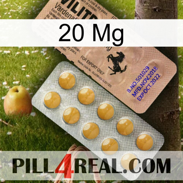 20Mg 41